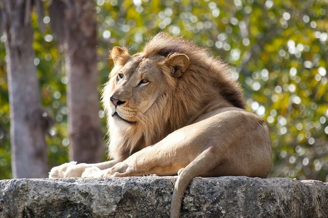 Pafos Zoo Ticket - What your four hours at Pafos Zoo look like