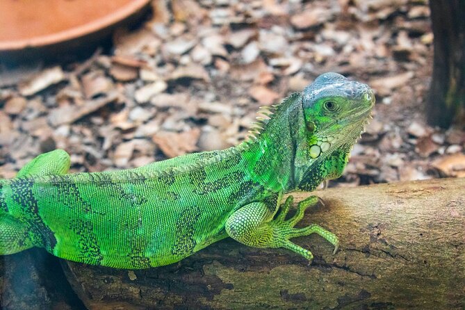 Pafos Zoo Ticket - Who should book Pafos Zoo?