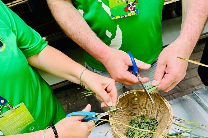 Panda Volunteer expperience in Dujiangyan or Wolong Panda Base - The documentary and the science behind panda care