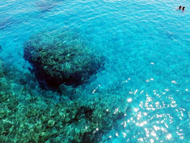Paphos: Zoo Visit and Blue Lagoon Cruise with Guide & Lunch - The journey to Latchi Harbor