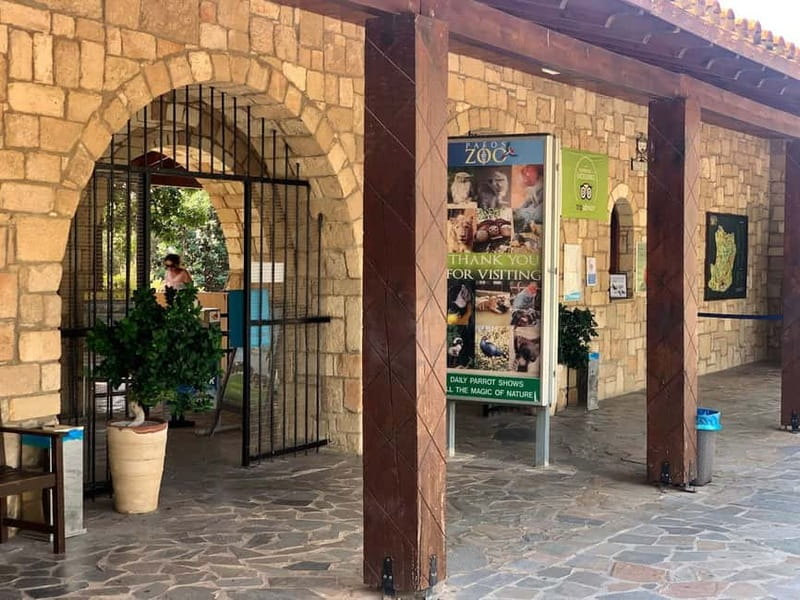 Paphos: Zoo Visit and Blue Lagoon Cruise with Guide & Lunch - Who will enjoy this day most?