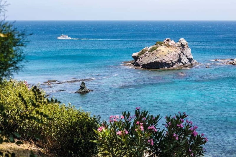 Paphos: Zoo Visit and Blue Lagoon Cruise with Guide & Lunch - Pafos Zoo among Cyprus banana plantations