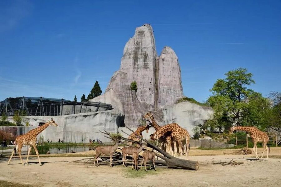 Paris: Paris Zoological Park Entrance Ticket - What the Paris Zoological Park experience is really like