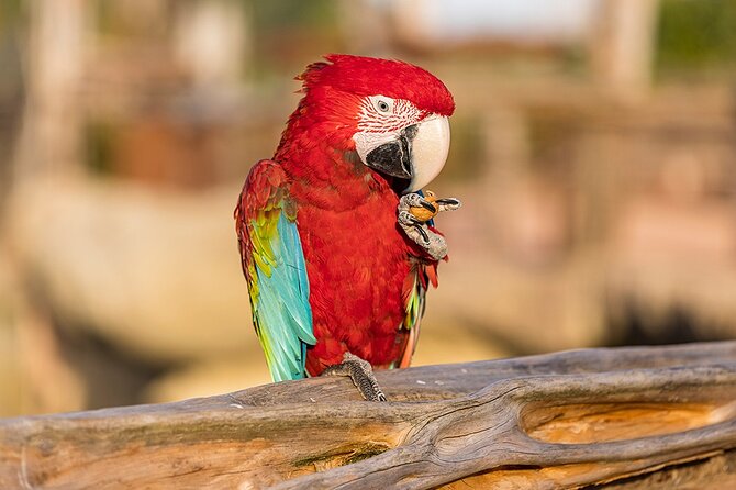 Parrot World Immersive Wildlife Park Entry Ticket next to Paris - Following the Amazonia and Patagonia treks
