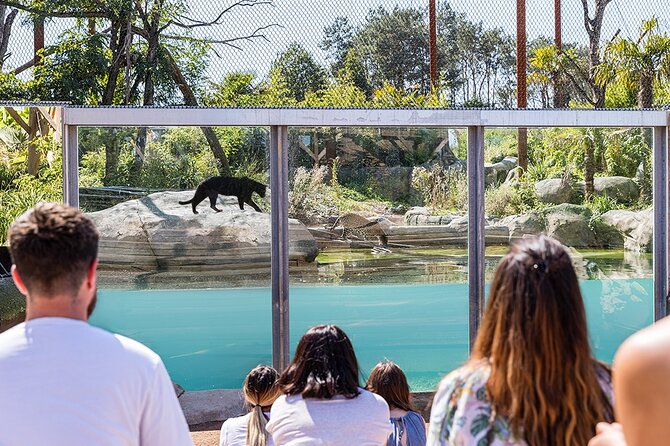 Parrot World Immersive Wildlife Park Entry Ticket next to Paris - Food, picnics, and a sensible half-day plan