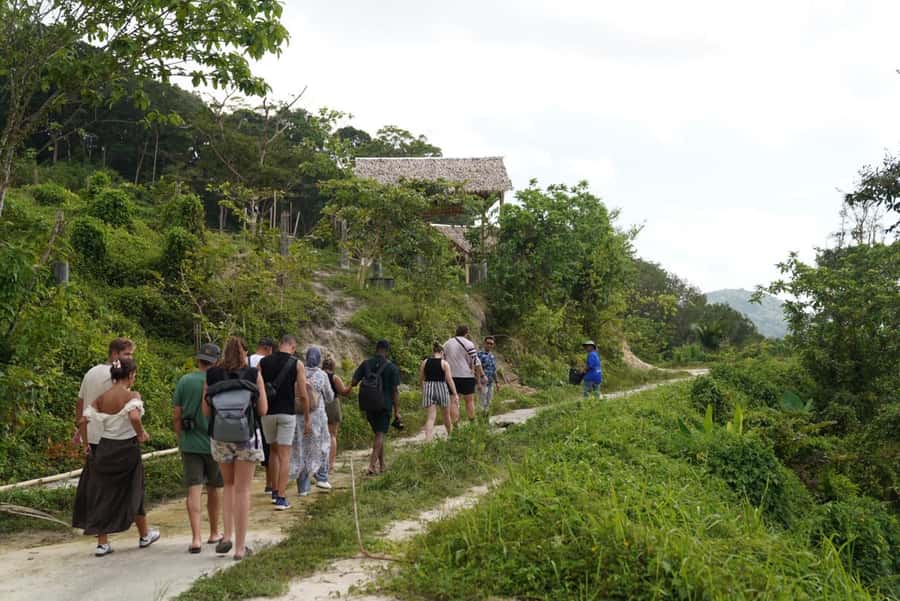 Patong Highlights: Elephant Sanctuary Tour with Transfer - Walking beside elephants in the forest