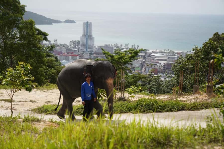 Patong Highlights: Elephant Sanctuary Tour with Transfer - Making herbal medicine balls by hand