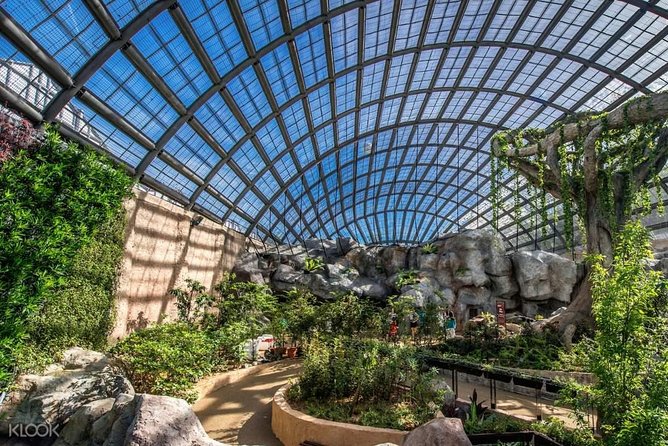 Penang Round Island Tour With Tropical Spice Garden & Entopia Butterfly Farm - Your driver and the private-tour difference