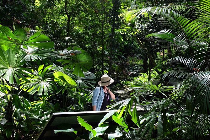 Penang Round Island Tour With Tropical Spice Garden & Entopia Butterfly Farm - Batik in Teluk Bahang