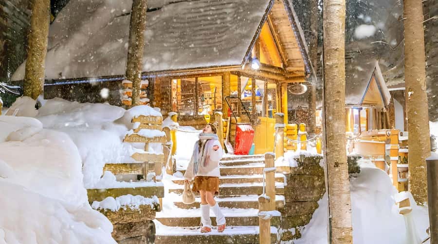 Penguin Fun & Snowmobile : Sapporo Winter (Asahiyama Zoo) - Key points at a glance