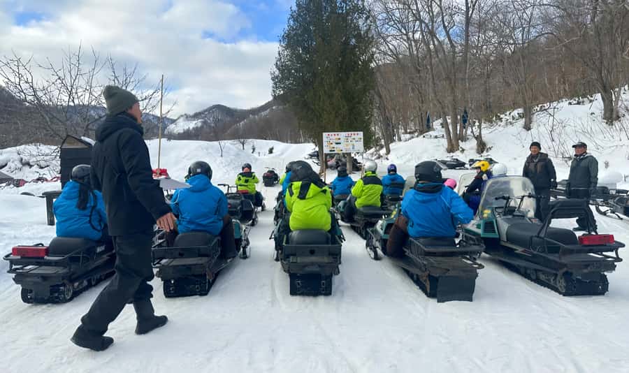 Penguin Fun & Snowmobile : Sapporo Winter (Asahiyama Zoo) - The Ken and Mary Tree from the bus