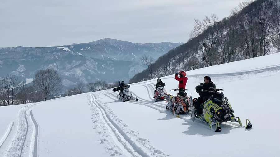 Penguin Fun & Snowmobile : Sapporo Winter (Asahiyama Zoo) - The long return and the real cost of the day