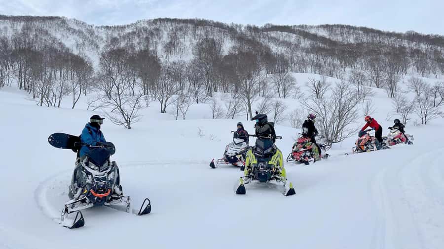Penguin Fun & Snowmobile : Sapporo Winter (Asahiyama Zoo) - Crowds, weather, and the parts you should accept