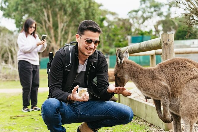Penguin Parade, & Wildlife Encounters Eco Tour from Melbourne - Cape Woolamai and Cowes in the summer schedule