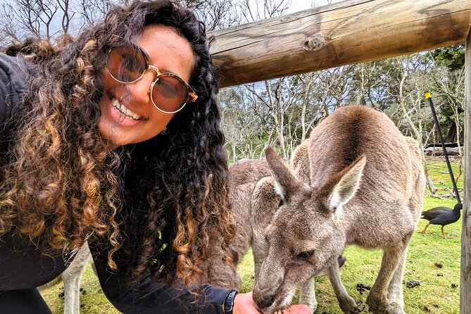 Penguin Parade, & Wildlife Encounters Eco Tour from Melbourne - The Nobbies and Seal Rocks before sunset