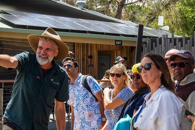 Penguin Parade, & Wildlife Encounters Eco Tour from Melbourne - Understanding the Penguin Parade