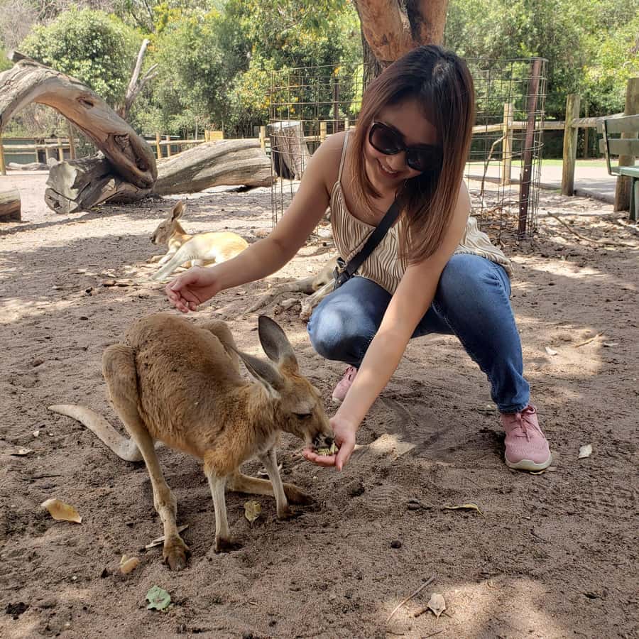 Perth Wildlife Park & City Highlights - Small Group Tours - Key points at a glance