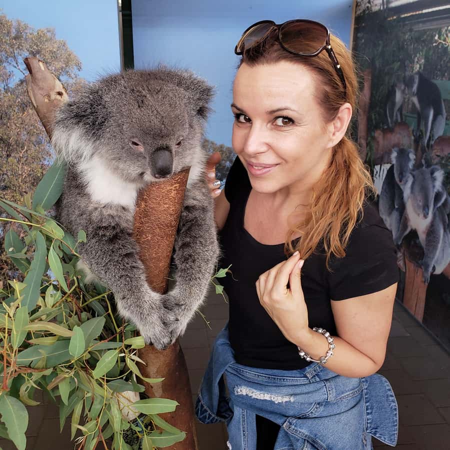 Perth Wildlife Park & City Highlights - Small Group Tours - Why this seven-hour route works