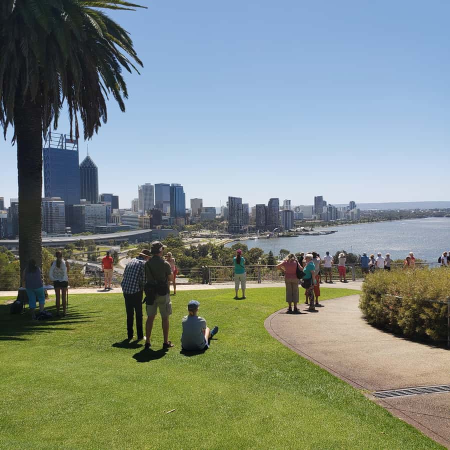 Perth Wildlife Park & City Highlights - Small Group Tours - Guide style and the human side of the day