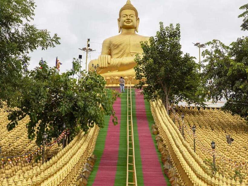 Phnom Tamao Wildlife Center & Buddha Kiri Cambodia Day Tour - Why this Phnom Penh day trip feels different