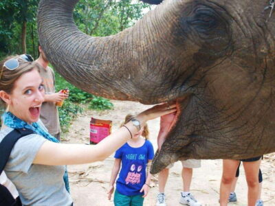 Phnom Tamao Wildlife Center & Buddha Kiri Cambodia Day Tour