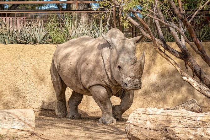 Phoenix Zoo Admission Ticket - What you can expect on the walking route