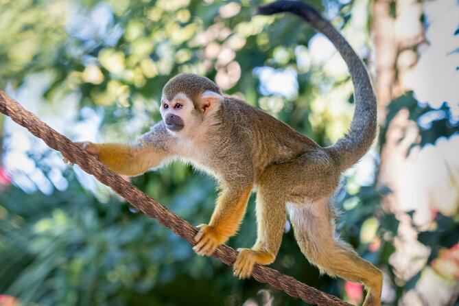 Phoenix Zoo Admission Ticket - Food, shade, and the practical side of a hot day