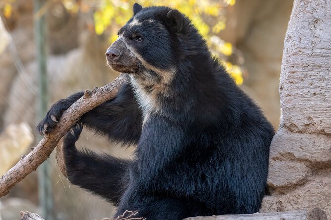 Phoenix Zoo Admission Ticket - Is $39.95 a fair price?