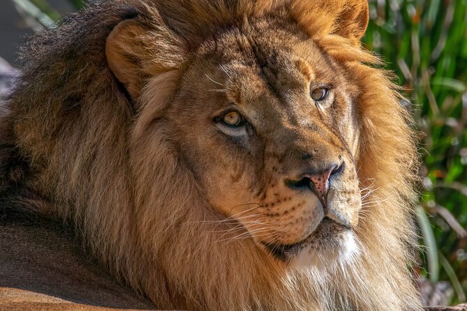 Phoenix Zoo Admission Ticket - Who will enjoy this Phoenix outing?