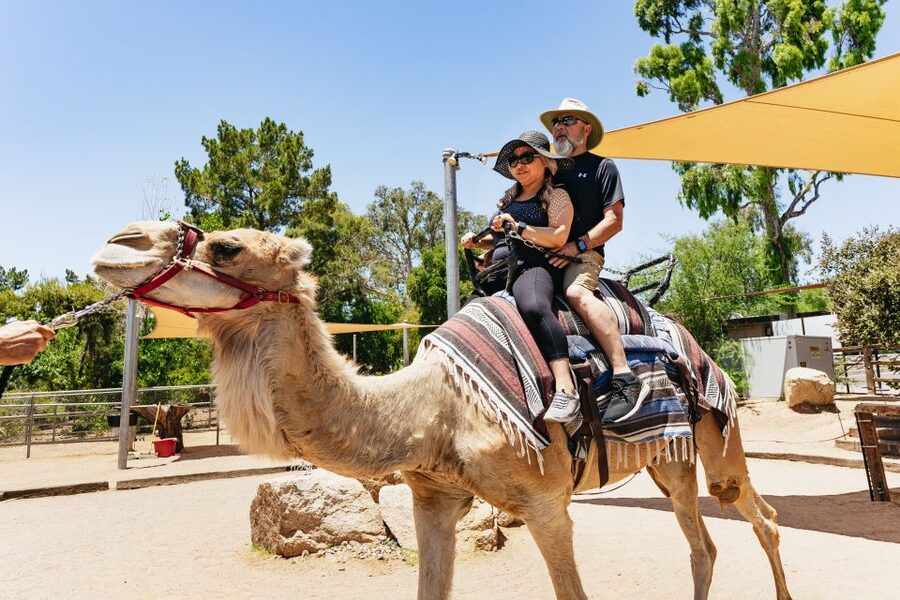 Phoenix Zoo One Day General Admission Ticket - A good family outing, with a few limits