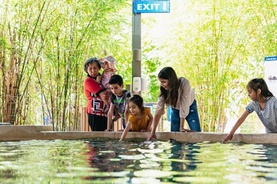 Phoenix Zoo One Day General Admission Ticket - A 125-acre zoo built for a full day