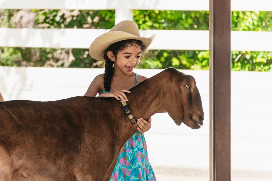 Phoenix Zoo One Day General Admission Ticket - Entry is simple, but check the date and time