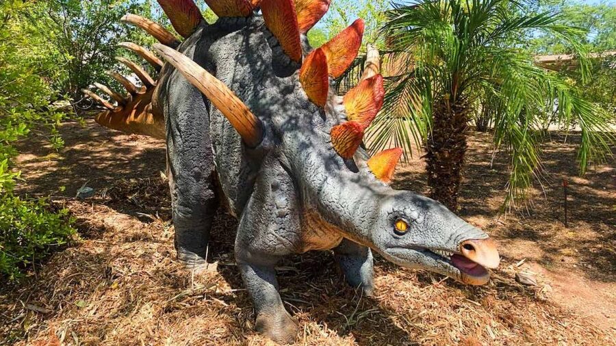 Phoenix Zoo One Day General Admission Ticket - Start with a route that matches your energy