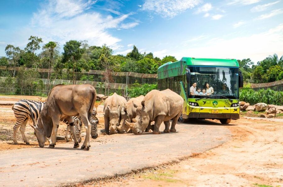 Phu Quoc: Vinpearl Safari Park Entry Ticket - Taking the safari bus through animal areas