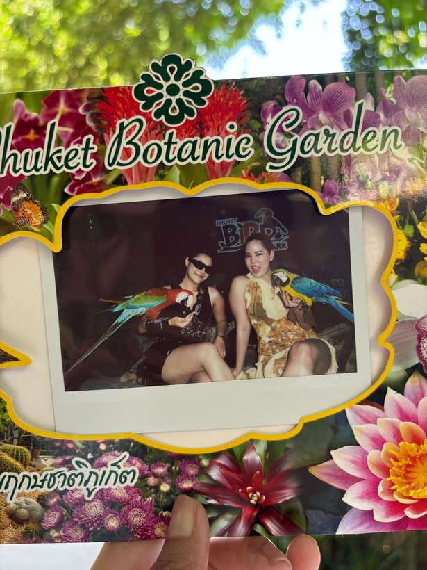 Phuket: Bird Park Entry Ticket - A hands-on animal stop away from Phuket’s beaches