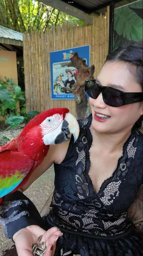 Phuket: Bird Park Entry Ticket - Feeding the birds is the most rewarding part