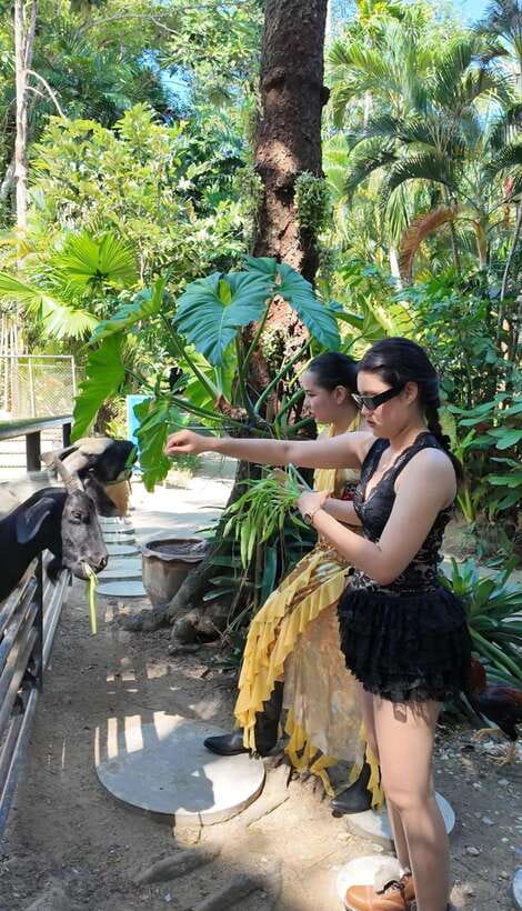 Phuket: Bird Park Entry Ticket - What a full day at the park may feel like