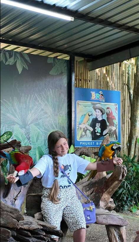 Phuket: Bird Park Entry Ticket - Who will enjoy this Phuket attraction?