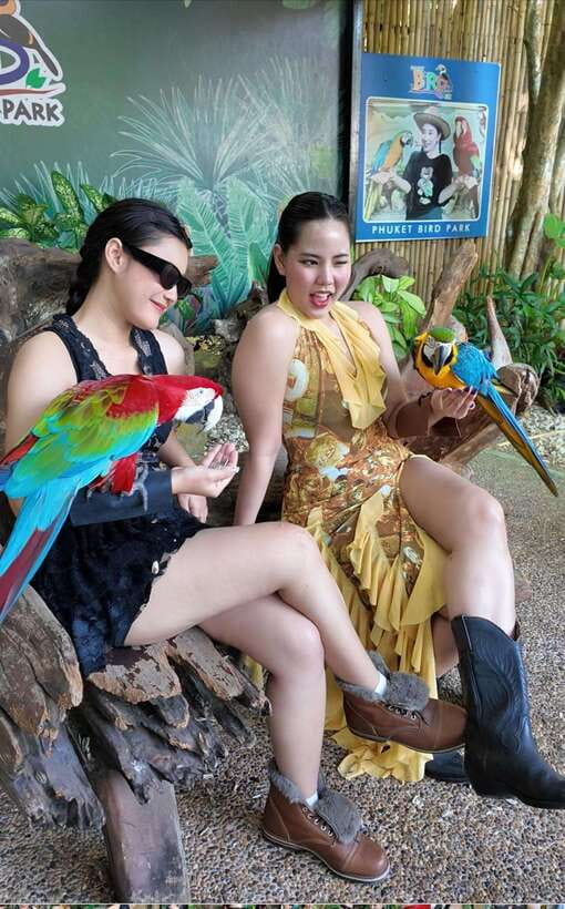Phuket: Bird Park Entry Ticket - Practical tips for a smoother visit
