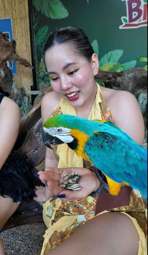 Phuket: Bird Park Entry Ticket - A photo-friendly park, with one booking warning