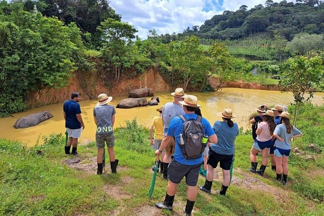 Phuket City Tour & Elephant Sanctuary – Town, Temple, Food & View - Bukit Elephant Park is worth the highest expectations