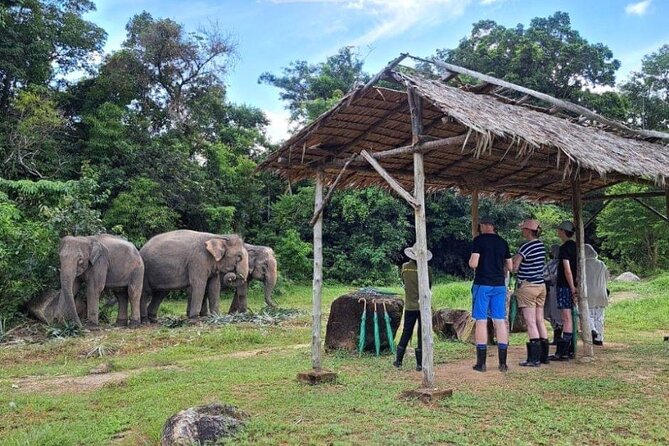 Phuket City Tour & Elephant Sanctuary – Town, Temple, Food & View - Big Buddha views come with an important warning