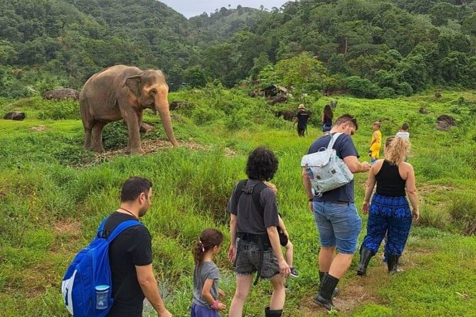 Phuket City Tour & Elephant Sanctuary – Town, Temple, Food & View - A-Pong starts the afternoon with a local bite