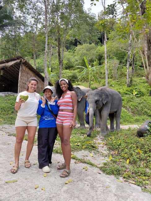 Phuket: Eco Guided Tour at Elephant Sanctuary - A short visit with a clear purpose