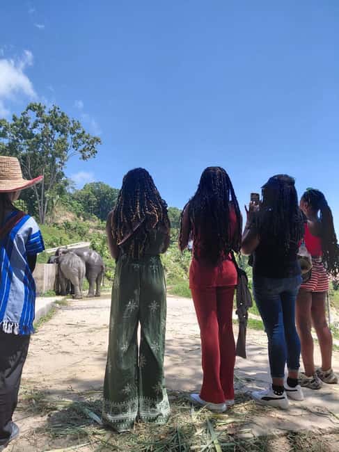 Phuket: Eco Guided Tour at Elephant Sanctuary - Why the sanctuary skips bathing and mud play