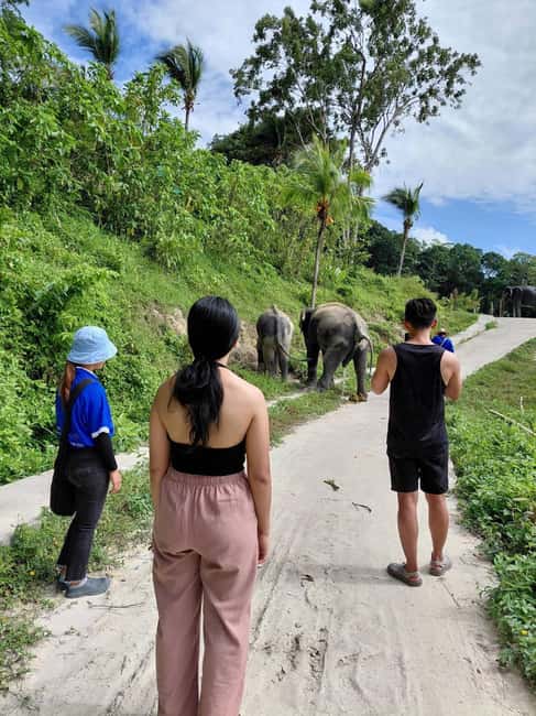 Phuket: Eco Guided Tour at Elephant Sanctuary - Meeting the elephants through their caretakers
