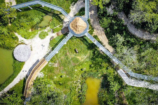 Phuket: Elephant Sanctuary Canopy Walkway Tour - Walking the 500-meter route above the elephants
