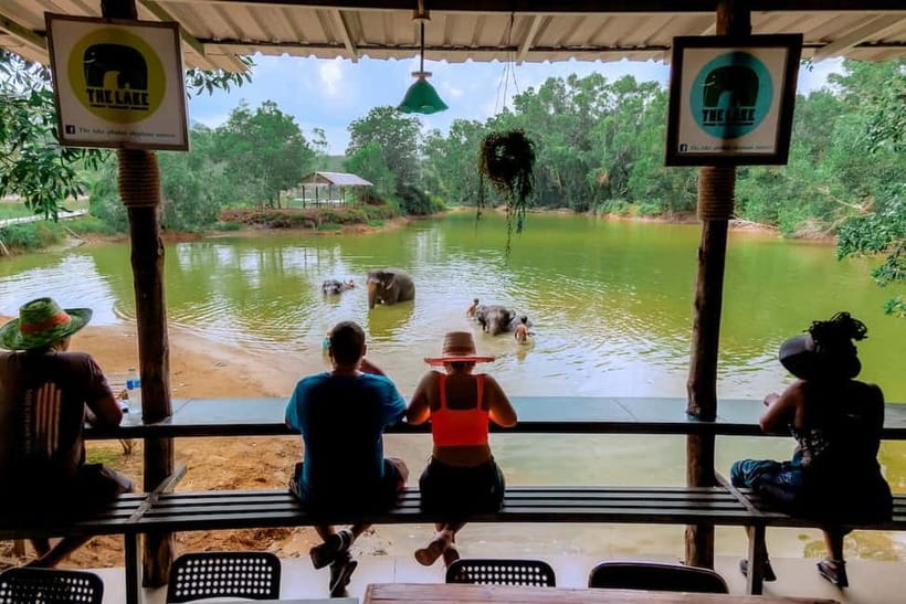Phuket: Elephant Sanctuary Feed and Bathe Gentle Giants - Who will enjoy this elephant visit most