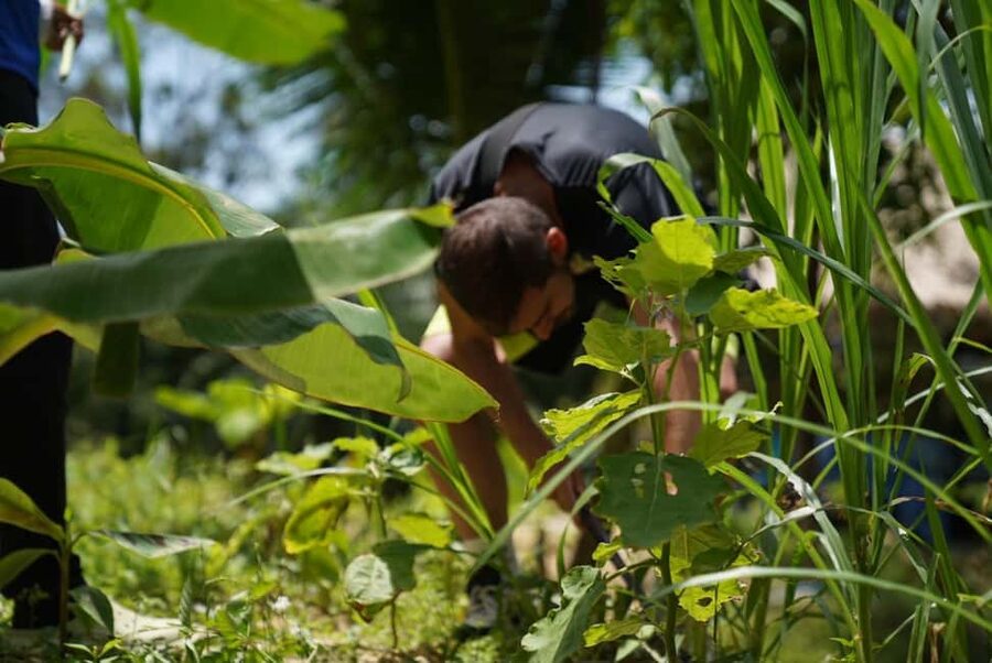 Phuket: Elephant Sanctuary Guided Tour with Hotel Transfers - Hotel Transfers Across Phuket