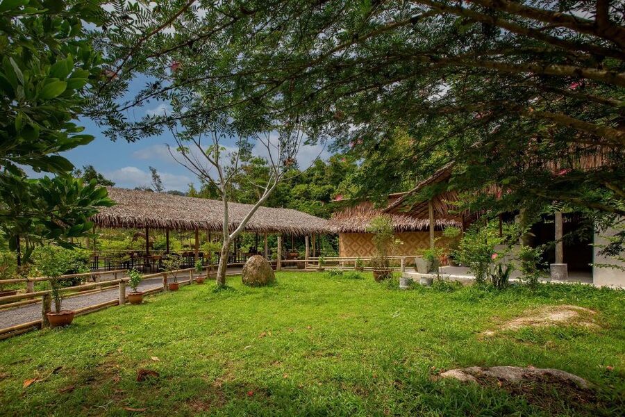 Phuket: Elephant Sanctuary Guided Tour with Hotel Transfers - Practical Tips for a Better Visit